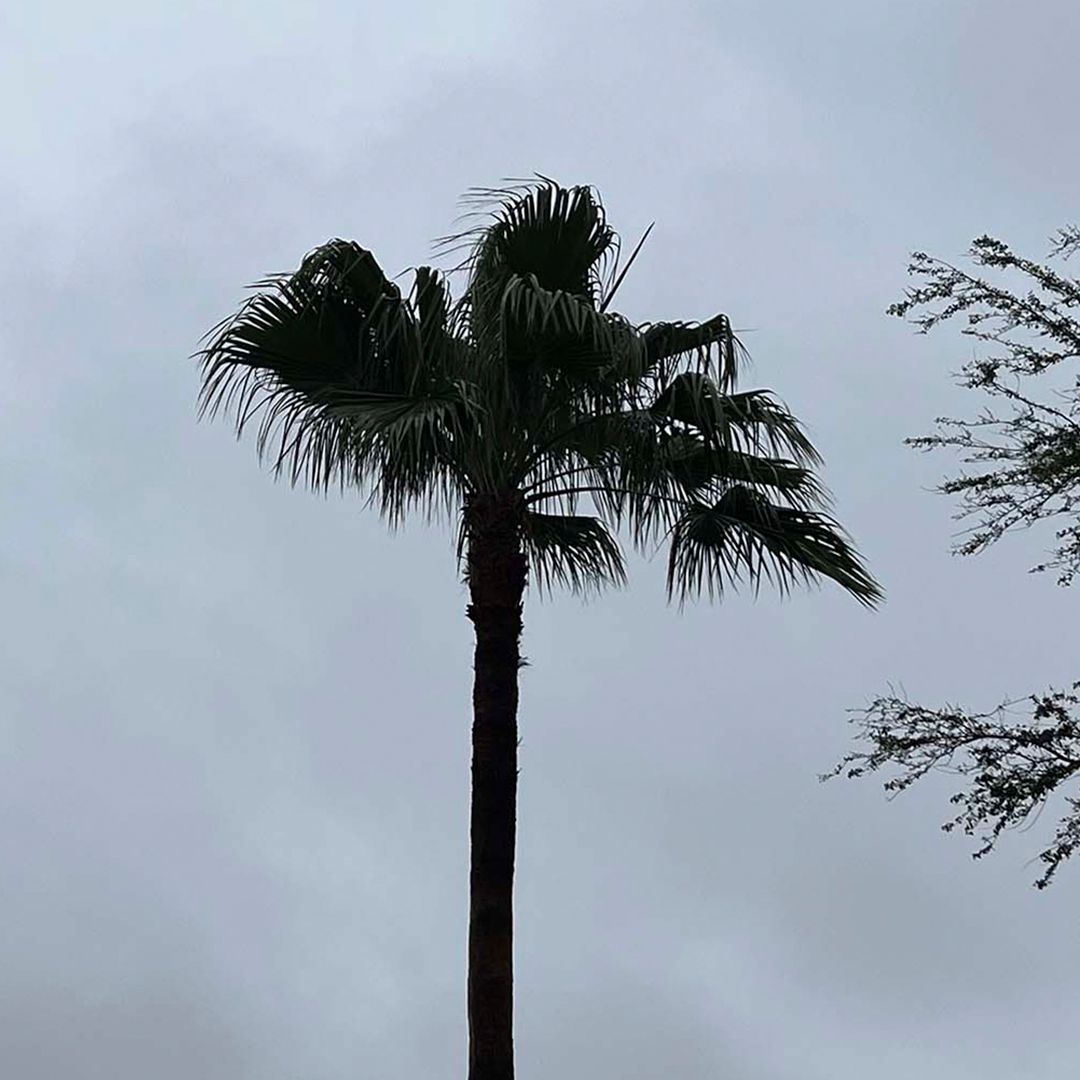 Tormenta Tropical Bertha Provocará Lluvias Fuertes Hoy Jueves en el Norte de Tamaulipas